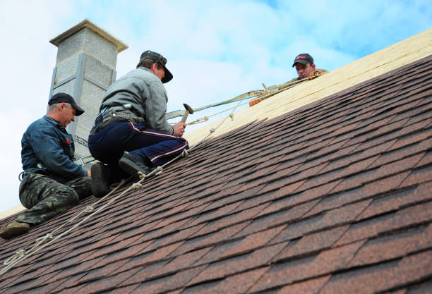Best New Roof Installation  in Angels, CA